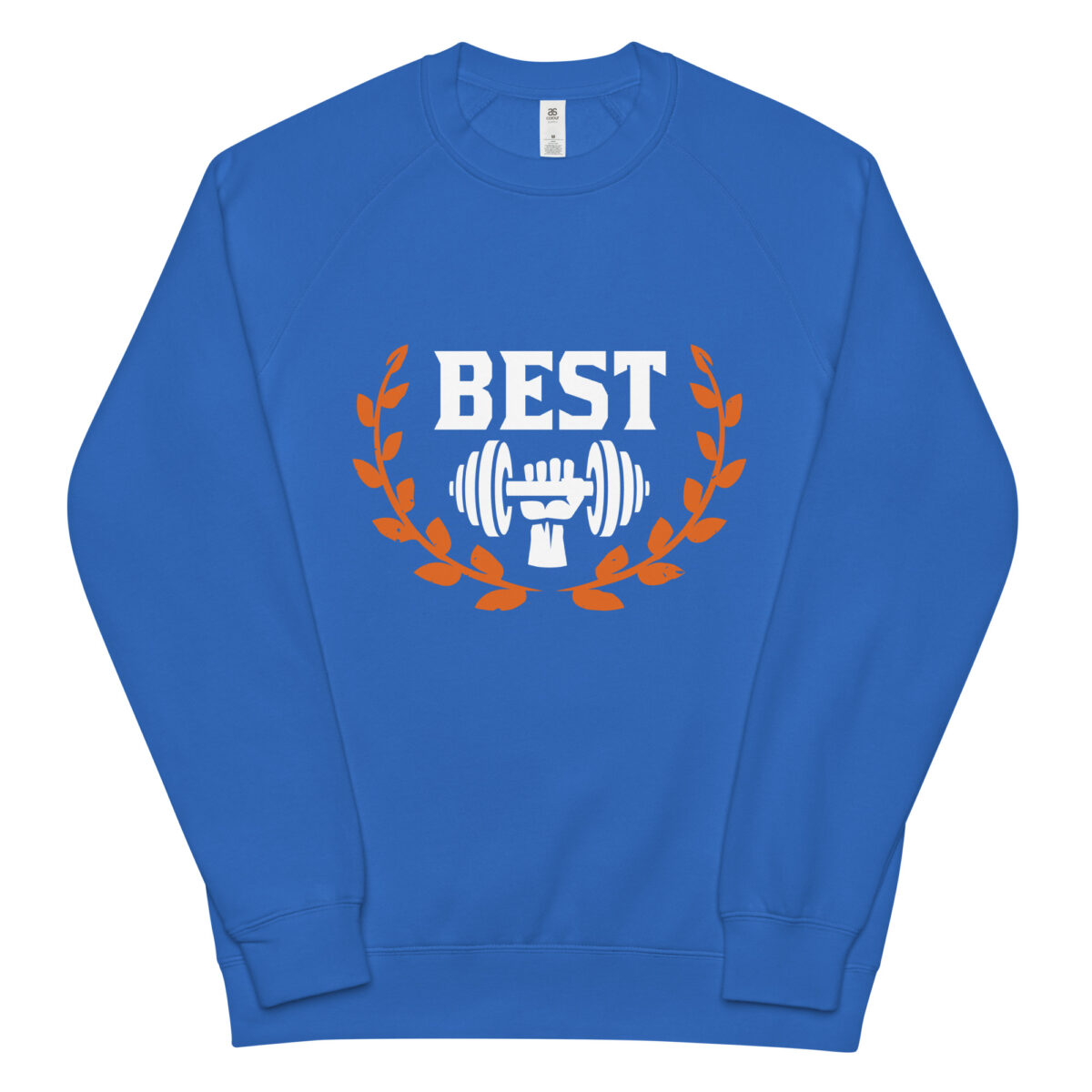 unisex raglan sweatshirt bright royal front 6448de0d5634e