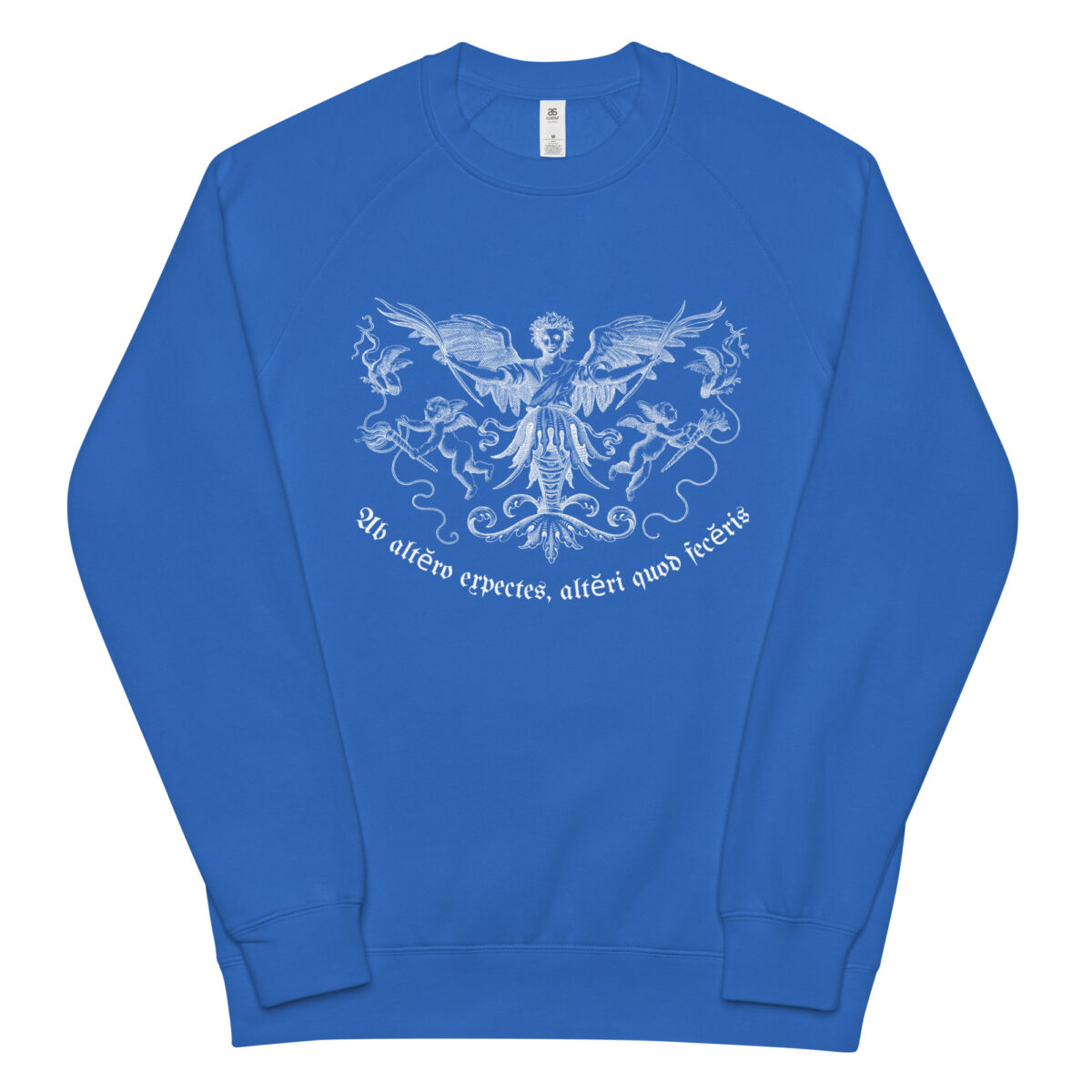 unisex raglan sweatshirt bright royal front 64495299d045b